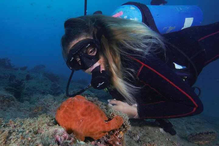 Our divemaster Alexa and a Frogfish!